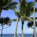 resort_pearl_ph_v_0129_fij1295.jpg